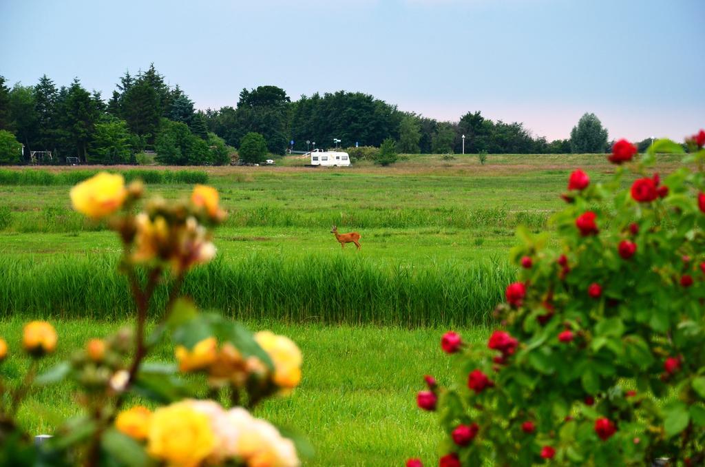 Strandapartment-Mondfisch An Der Ostsee Thiessow Bilik gambar