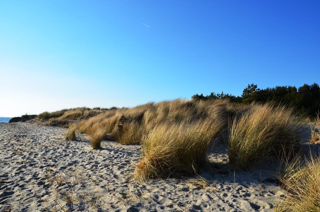 Strandapartment-Mondfisch An Der Ostsee Thiessow Bilik gambar