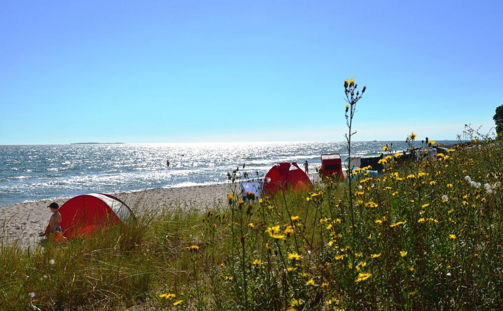 Strandapartment-Mondfisch An Der Ostsee Thiessow Bilik gambar